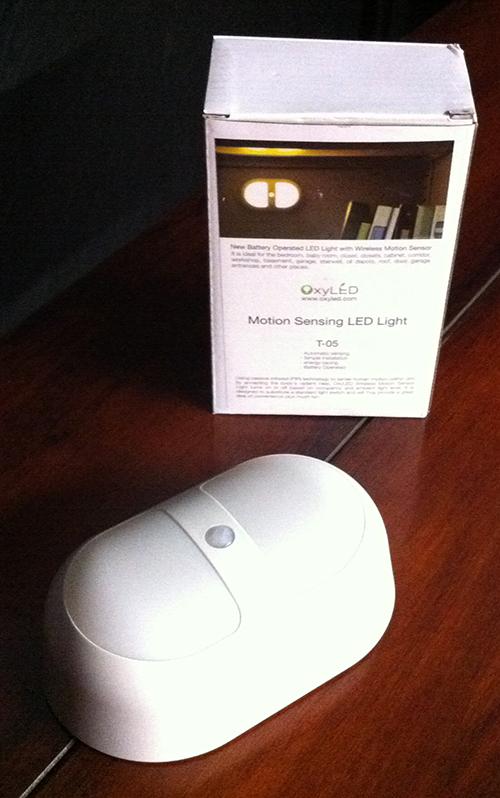 Motion Sensing LED Light T-05