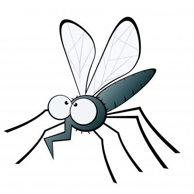 Day 6 > Mosquito Legs